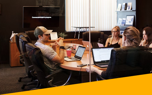 Project Viability Studies